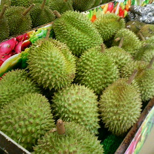 Durians