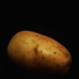 potato